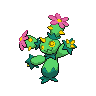 maractus.png